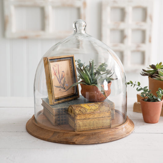 Large Glass Bell Shaped Cloche with Wood Base