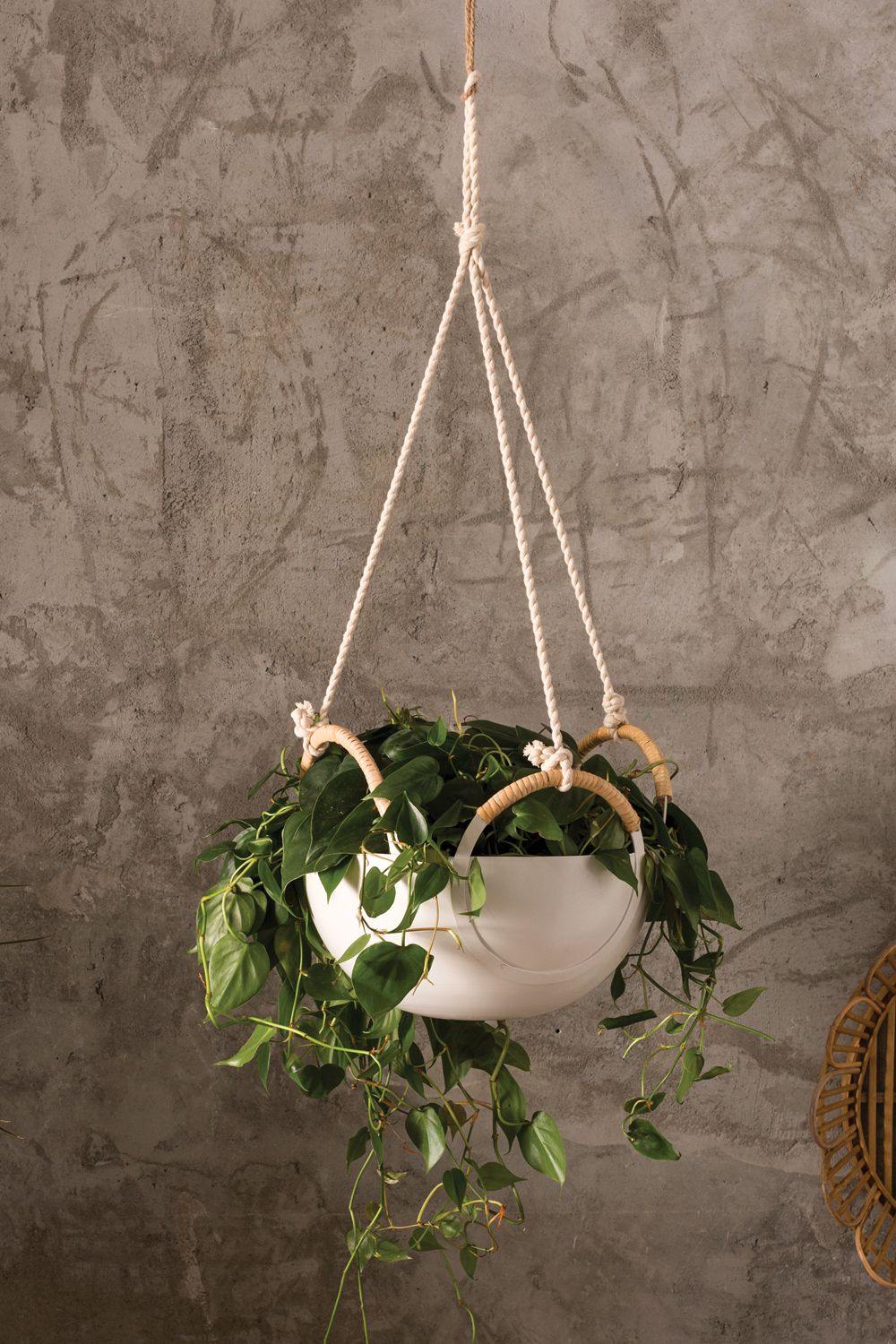 SYM Hanging Bowl Planter