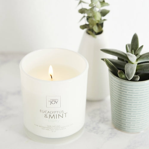 Eucalyptus & Mint Candle 100% Natural - Radiant HomeLiving