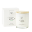 Eucalyptus & Mint Candle 100% Natural - Radiant HomeLiving