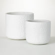 Contempo White Pots - Radiant HomeLiving