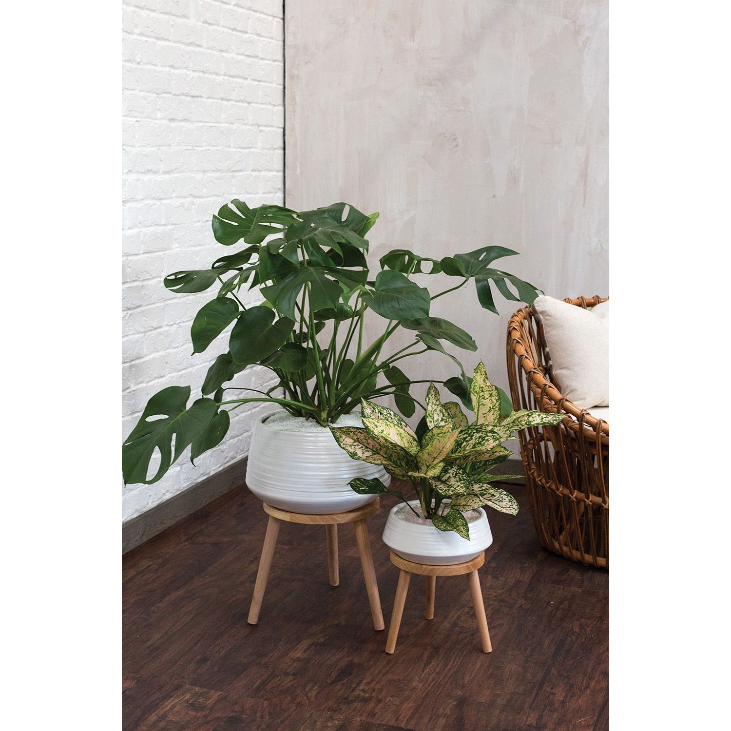  Everett Plant Stand Everett Plant Stand sold by Wens + Co